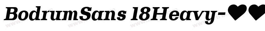 BodrumSans 18Heavy字体转换